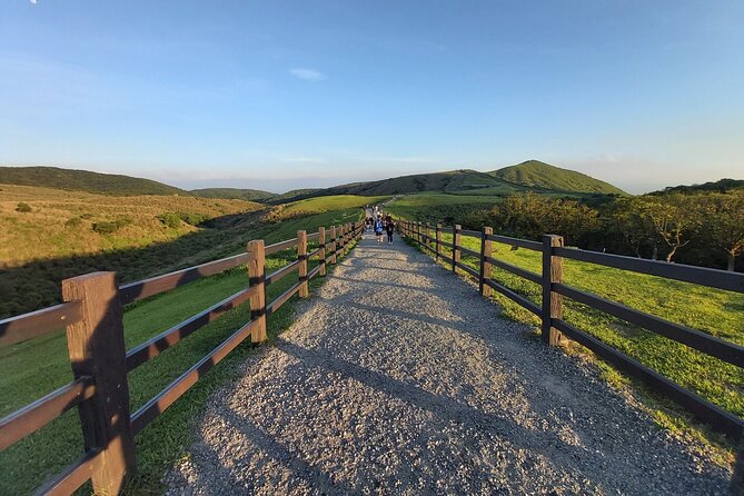 Private Yangmingshan National Park Hiking Day Tour from Taipei - What to pack before the 8:30 a.m. pickup