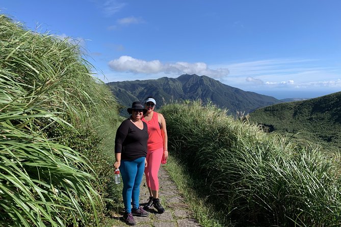 Private Yangmingshan Volcano Tour - Qixing Mountain, the serious walking option