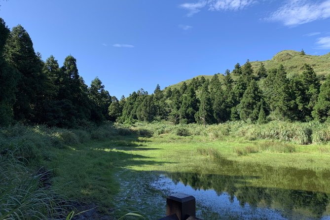 Private Yangmingshan Volcano Tour - A private guide changes the feel of the day