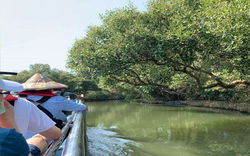 Tainan: Sicao Green Tunnel Scenic Boat Ride - Entering Tainan’s mangrove backcountry