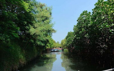 Tainan: Sicao Green Tunnel Scenic Boat Ride