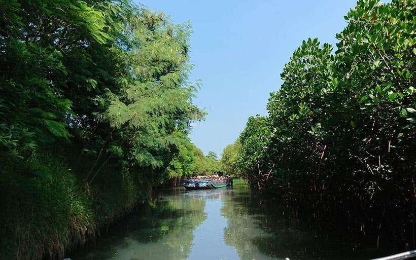 Tainan: Sicao Green Tunnel Scenic Boat Ride - What the 30-minute boat ride is really like
