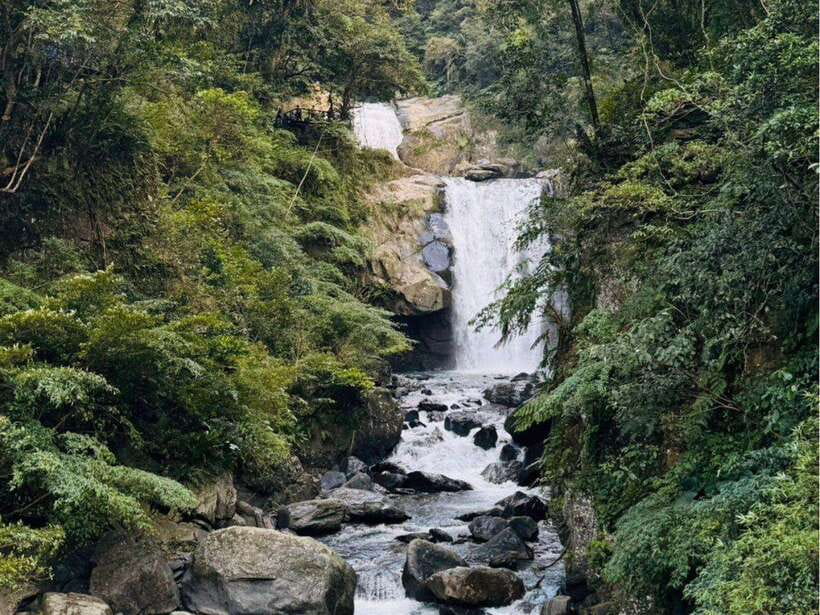 Taipei: 8 Hours Private Day Tour in Wulai with Benz Vito - Neidong Forest: a quiet start among ferns and frogs