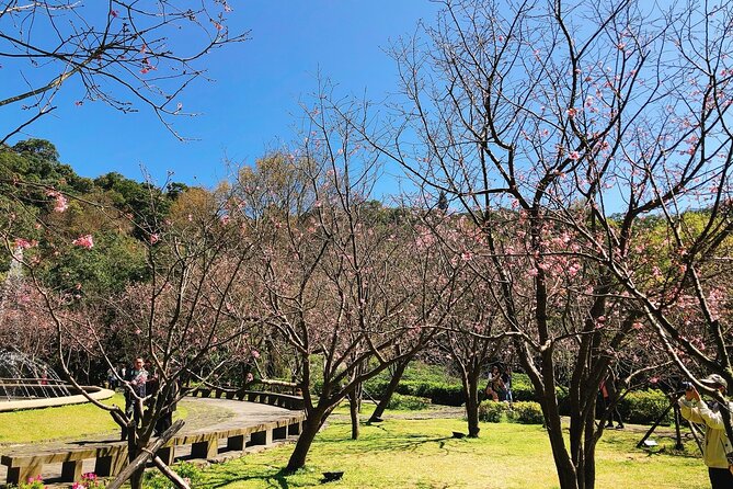 Taipei Cherry Blossom Day Tour to Yangmingshan and Tamsui - Tamsui Fisherman’s Wharf at sunset