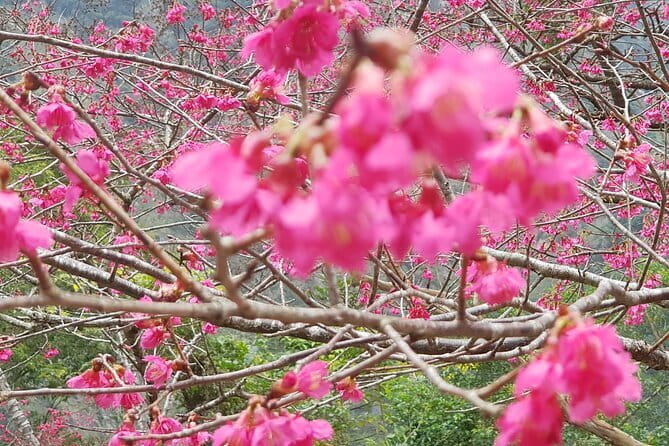 Taipei City to Taoyuan Airport Private Transfer - Price and Value for a Small Group