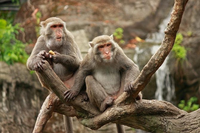 Taipei: Private Car Charter Tour - Key points to know before booking