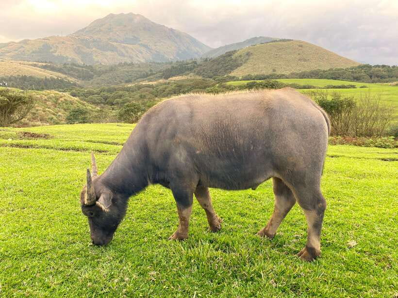 Taipei: Yangmingshan & Beitou Full-Day Tour - Xiao You Keng and the smell of the earth