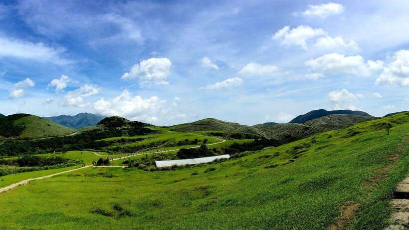 Taipei: Yangmingshan National Park Half-Day Tour - From Xingtian Temple to Yangmingshan’s volcanic hills