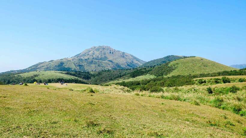 Taipei: Yangmingshan National Park Half-Day Tour - Zhuzihu, the bamboo-lined side of the park