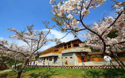 Taiwan: Alishan National Forest Recreation Area E-ticket