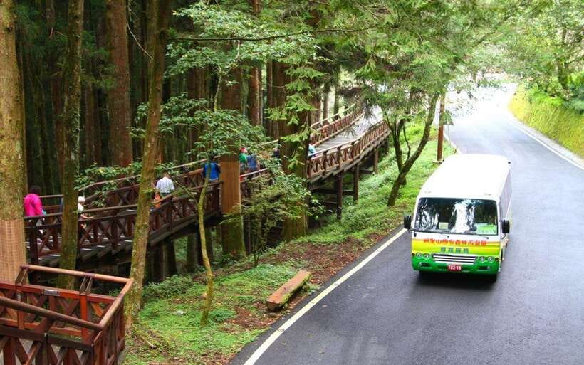 Taiwan: Alishan National Forest Recreation Area E-ticket - Wildlife and seasonal changes