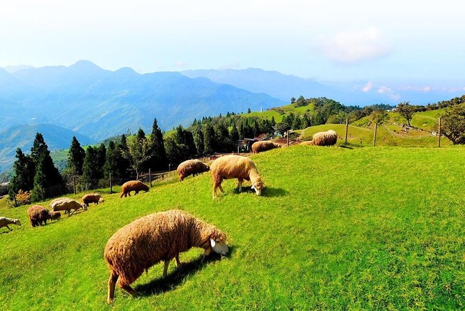 Taiwan Multi-Day Classic Tour - Day 2: Strange rocks and old mountain streets around northeast Taiwan