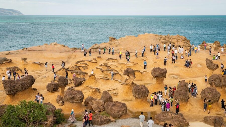 Taiwan Taipei: Customized Private Tour - Price, cancellation, and practical value