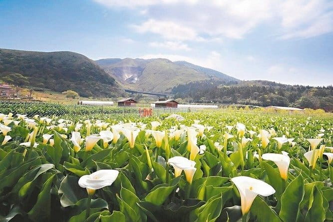 Taiwan TST : Private Tour Taipei, Yangmingshan, Beitou, Tamsui - Fort Santo Domingo and Tamsui’s layered past