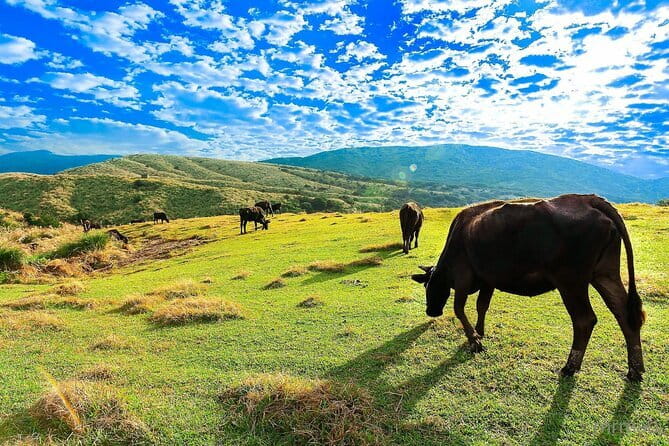 Taiwan TST : Private Tour Taipei, Yangmingshan, Beitou, Tamsui - Three Yangmingshan stops, three different moods