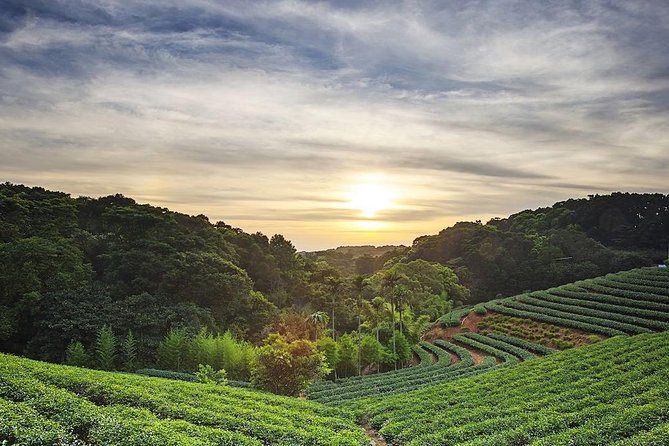 Tea of Taipei: Small-Group Tour with Taipei City Sightseeing - Key things to know before booking