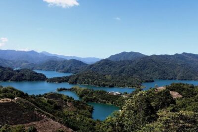 Tea of Taipei: Small-Group Tour with Taipei City Sightseeing