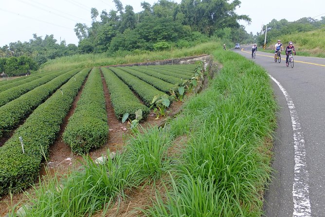 Two-day Sun Moon Lake & Alishan Forest Park Tour Package - Day one at Sun Moon Lake and Thao country