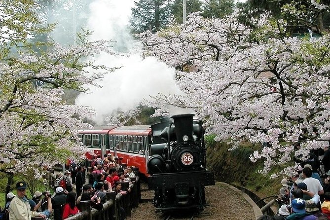 Two-day Sun Moon Lake & Alishan Forest Park Tour Package - Choosing your Sun Moon Lake hotel