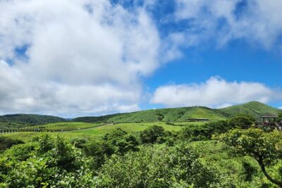 Yamingshan Volcano, Beitou Thermal Valley, Danshui Private Tour