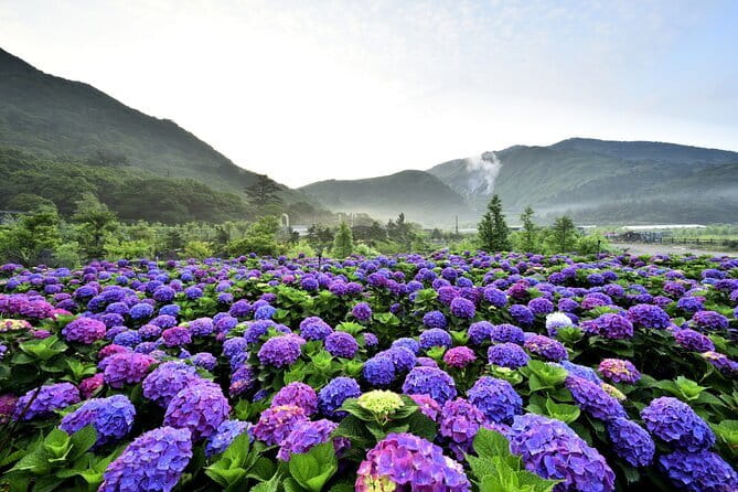 Yangmingshan, Yehliu, Jiufen & Shifen Private Tour From Taipei - Yehliu and the Queen’s Head